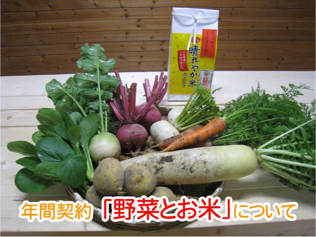 ǯ�ַ�����ڤȤ���